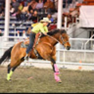 Meet your Posher, Kaylee